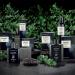 L'Erbolario Black Juniper - Energizing Fragrance With Woody Notes - Can Be Worn Every Day With Pride - Dermatologically Tested - Citrus And Woody Scent - For All Skin Types - 1.6 Oz EDP Spray Aromatic. 1.6 Ounce (Pack of 1) - Buy Online on GoSupps.com