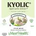 Maxi Health Kyolic Immune Booster Liquid - 4 fl oz | Boost Immunity Naturally - Buy Online on GoSupps.com