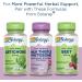 Solaray Milk Thistle Seed Extract 350 mg â€“ 60 Vegan Capsules for Liver Support - Buy Online on GoSupps.com