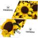 Cabilock 1 Set Decor Ornaments Flowers Flower Sunflower Decorative Paper Accessories DIY Simulation - Buy Online on GoSupps.com
