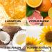 Honeymazing Hair Oil - Nourishing Honey Hair Care Treatment with Avocado & Rosemary for Heat Damage Repair | 3.3 Fl Oz - Buy Online on GoSupps.com