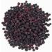 BRIX Freeze-Dried Blackberry | 100% Natural Dry Wild Blackberry 95g | Dried Fruits Great Taste Award | Non-GMO Gluten Free Ve - Buy Online on GoSupps.com