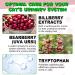 Cat Natural Urinary Tract Infection Treatment with Cranberry Urinary Cat Food Wet - Kidney + Bladder Support Supplement for Cats Powerful Yet Gentle Pet Care with Liquid Cranberry - Buy Online on GoSupps.com