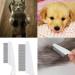 Flea Comb for Dogs 2-piece Set of Dog Fine Toothed Flea Comb Flea Comb for Cats Dogs Lice Combs Fine Tooth Comb Grooming Suitable for Removing Tears Stains from Dogs Fleas Lice - Buy Online on GoSupps.com