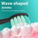 LINILEEA Toothbrush Replacement Heads Black Compatible with Philips Sonicare Click On Electric Toothbrush 8Pack Balck 1 count (Pack of 8) - Buy Online on GoSupps.com