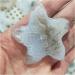 Gemstones and Crystals 1Pcs 3-5cm Agate Starfish Ornament Stone Stone Mineral Specimen - Buy Online on GoSupps.com