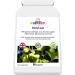 BodyLean Garcinia Cambogia CLA Chromium Green Coffee Extract Glucomannan | 90 Capsules | Metabolism & Blood Sugar Support - Buy Online on GoSupps.com