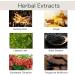 XIBDGNTNE Plant Single Dose Flowers Fragrance DyeJapanese Long Lasting Natural Hair Dye ShampooVarious Herbal Extracts for Hair Care Brown - Buy Online on GoSupps.com