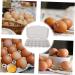 Zerodeko Egg Storage Box Drawers Food Tray Dispenser Egg Cartons Plastic Egg Holder Dog Duck Eggs re-usable - Buy Online on GoSupps.com