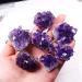 Natural Crystal Rough 1/5/10PC 1PC/40-50g Natural Purple Amethyst Quartz Crystal Cluster Stone Druzy Geode Rock Specimens Ornament Home Decor Gift (Color : Purple Size : 5Pcs) 5Pcs Purple - Buy Online on GoSupps.com