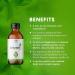 Verem Jatyadi Oil 100ml Pack of 2 - Skin Lotion/Cream for Effective Skincare - Buy Online on GoSupps.com