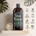 Natural Riches Tea Tree Shampoo - Fights Dandruff with Pure Tea Tree Oil - Lavender Peppermint Formula - 16 fl oz - Buy Online on GoSupps.com