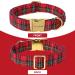 Unique Style Paws Adjustable Dog Collar | Soft Comfortable Checkered Neck Bands for Small & Medium Dogs | Ideal Pet Gift - Buy Online on GoSupps.com