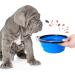 Petsation Foldable Dog Bowl - 350ml Portable Water & Food Bowl for Dogs - Ideal for Travel & Everyday Use - Original Blue Design - Buy Online on GoSupps.com
