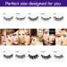 25 Piece Set: 10 Pair Magnetic Eyelashes, 4 Eyeliners, 1 Application Tool - Strong Hold, Easy to Apply, Realistic & Soft - Buy Online on GoSupps.com