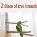 5 PCS Bird Parrot Perches for Cage 9.84 inches Natural Wood Perch Platform Stand for Parrots Birds Cage Parakeets Cockatiels Conures Cages Accessories (5 PCS) - Buy Online on GoSupps.com
