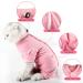 Shop Lianzimau Katzenbody for Post-Op Cats | Long-Sleeved Catwear & E-Collar Alternative - Pink Streaked (M 1 Pack) - International Shipping Available - Buy Online on GoSupps.com