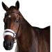 Collegiate ComFiTec Sheepskin Bridle Black Cob