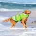 Wallpage Dog Wimming Vest - Adjustable Lifesaver Bathing Suit for Small Medium & Large Dogs - Green - Buy Online on GoSupps.com