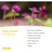 Red Clover Extract 1000mg 120 Tablets for Menopause Support | Vegan & GMP Approved | MOBU - Buy Online on GoSupps.com