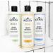 J.R. Watkins Awaken Creamy Body Wash - Rosemary & Rosewood - 12 oz - Buy Online on GoSupps.com