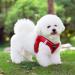 Red Padded Dog Harness for Small Dogs | XXS Puppy Harness - Comfortable & Durable - Buy Online on GoSupps.com