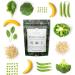 Truvani Protein + Greens: Organic Non-GMO Vegan Gluten Free Dairy Free | Daily Greens & Protein with a Delicious Splash of Sweetness - Buy Online on GoSupps.com
