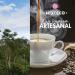 Ensue o Mixteco Specialty Coffee Beans | 100% Arabica Medium Body and Artisanal Production | 460 grams Mexican Origin - Buy Online on GoSupps.com