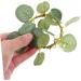 LIFKICH 4pcs Eucalyptus Leaf Garland Christmas Garland The Christmas Candle Rings Artificial Plant Wreath Artificial Wreath Candle Wreath Leaves Wreath Household Supplies Silk Cloth - Buy Online on GoSupps.com