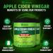 2 Packs 15000mg Apple Cider Vinegar Capsules with Turmeric, Cinnamon, Milk Thistle - Keto Digestion & Immune Support - Buy Online on GoSupps.com