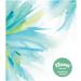 Kleenex Soothing Lotion Facial Tissues with Coconut Oil Aloe & Vitamin E 1 Cube Box - 65 Total Tissues - Buy Online on GoSupps.com