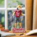 Buy Evergreen NCAA Washington State Cougar Tiki Totem - Unique Home Decor for Fans - Fast International Shipping - Buy Online on GoSupps.com