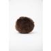 Silly Sounds Pony Earplugs (Brown) - 4-Pack | International Shipping Available - Buy Online on GoSupps.com