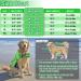 Buy Emust Dog Chimney - Reflective Adjustable Improved Buoyancy & Rescue Handle for Swimming | New Green - Buy Online on GoSupps.com