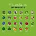 Paleovalley Organic Supergreens Powder - 23 Superfoods with Prebiotic Fiber for Energy and Immunity Support - No Cereal Grasses for Maximum Absorption - Pure Unflavored, 30 Servings Unflavored 7.84 Ounce (Pack of 1) - Buy Online on GoSupps.com