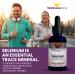 WellnessOne Selenium Drops - Heart & Thyroid Support - Boost Immunity & Antioxidant Enzymes - 1.67fl - Buy Online on GoSupps.com