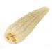 Raw Egyptian Luffa (loofah) by SeaSationals