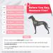 Pawaii Dog Harness for Medium-Sized Dogs | Adjustable Reflective & Breathable Anti-Pull Chest Harness in Pink (Size M: 55cm-68cm) - Perfect for Training & Walking - Buy Online on GoSupps.com
