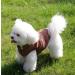 Joydaog 2-Layer Fleece Lined Dog Jacket - Warm & Windproof Vest for Winter - Small Brown (1 Pack) - Buy Online on GoSupps.com