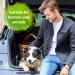Bactador Odour and Stain Remover Spray 750ml - Biological enzyme cleaner as a ready-to-use solution against sweat cat urine dog urine animal odors - For household car & animal environment 750 ml (Pack of 1) - Buy Online on GoSupps.com