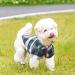 Amaone Chihuahua Dog Coat - Leopard Knit Jacket for Small Dogs | XL 0228debka Green - Stylish and Warm Puppy Clothing - Buy Online on GoSupps.com