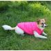 Joydaog 2-Layer Fleece-Lined Dog Jacket - Warm Windproof Vest for Winter - Extra Soft Pink XXX-Large (3X Large) - Ideal for Cold Weather - Buy Online on GoSupps.com