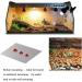 KABASI 2PCS Reptile Heating Mat 7W 11x5.9 inch Waterproof Reptile Heat Pad Under Tank Terrarium with Temperature Control Safety Adjustable Reptile Heat Mat for Turtle Tortoise Snakes Lizard 2pcs - 7w - 11 X 5.9 in - Buy Online on GoSupps.com