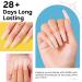 AIMEILI 5 in 1 Rubber Base Gel & Sheer Color Nail Polish 10ml - UV LED Soak Off Elastic Base Coat for Nail Strength - Nail Rhinestones Glue Gel - (574) - Buy Online on GoSupps.com