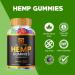Harmony Peak Gummies - Official Formula - Harmony Peak Hemp Gummies Advanced Strength Performance Hemp Blend Formula Big Size Harmony Peak Gomitas with 25mg Hemp Extract Great Taste (60 Gummies) - Buy Online on GoSupps.com