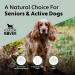 FOUR LEAF ROVER Green Eggs Joint & Mobility Support for Dogs - Vet Formulated with Glucosamine & Chondroitin - Easy to Mix & Delicious - 30-Day Supply - Buy Online on GoSupps.com