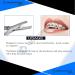 OdontoMed2011 Bracket Removing Pliers - Orthodontic Dental Braces Removal Tool - Buy Online on GoSupps.com