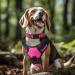 Joytale Reflective Dog Collar for Large Dogs - Hotpink L | Durable & Stylish (Pack of 1) - Buy Online on GoSupps.com