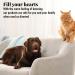 Citrus Magic Pet Odor Absorbing Solid Air Freshener for Home Air Purifier Fresh Citrus Must have Pet Supplies 8 Oz (Pack of 3) - Buy Online on GoSupps.com