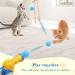 SXFENG Cat Toys Interactive Cat Toy 100pcs Cat Pom Pom Balls with Cat Toy Launcher Cat Toy for Cats and Kittens Toy for Indoor Pets Cat Exercise Training Chasing (100pcs) - Buy Online on GoSupps.com